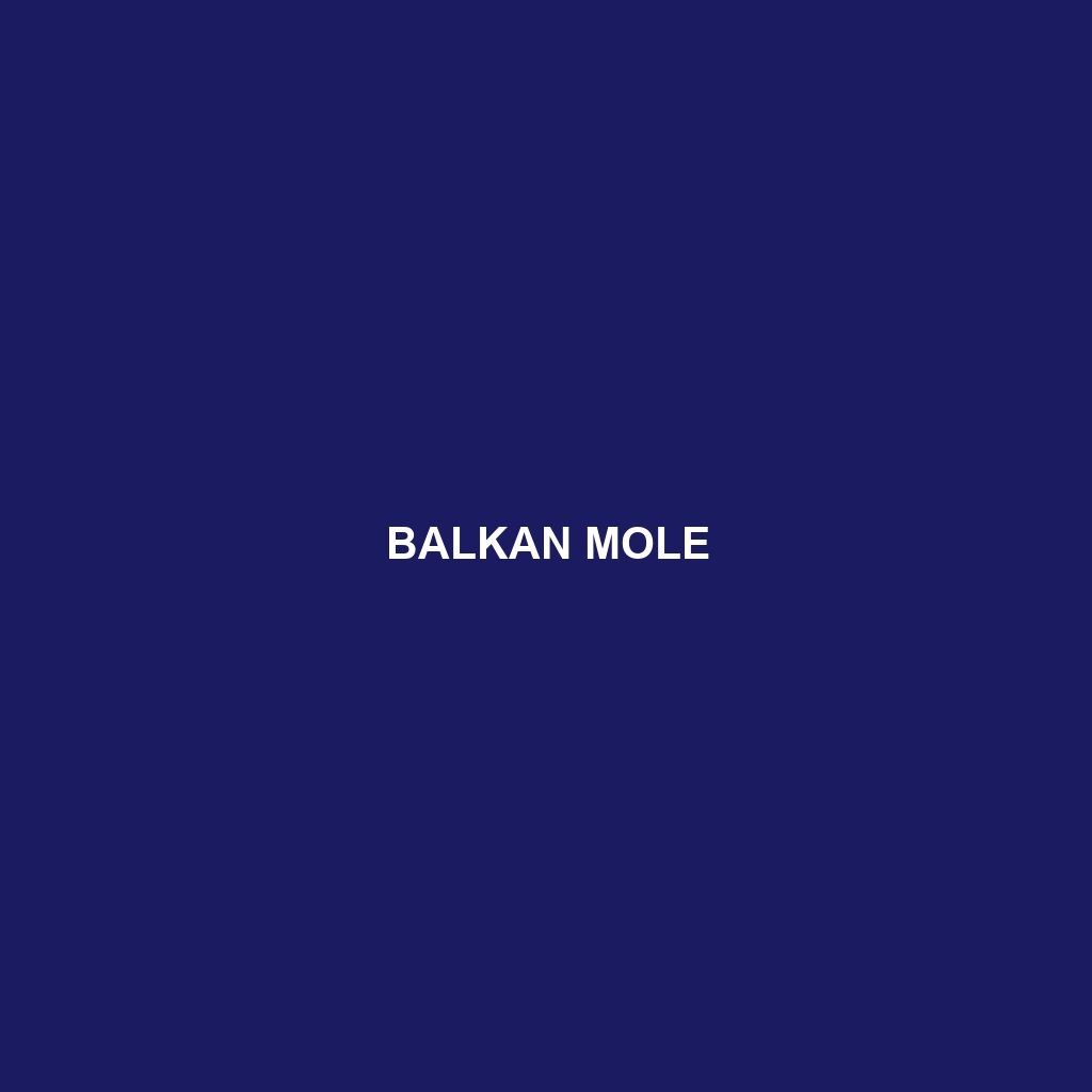 Balkan Mole