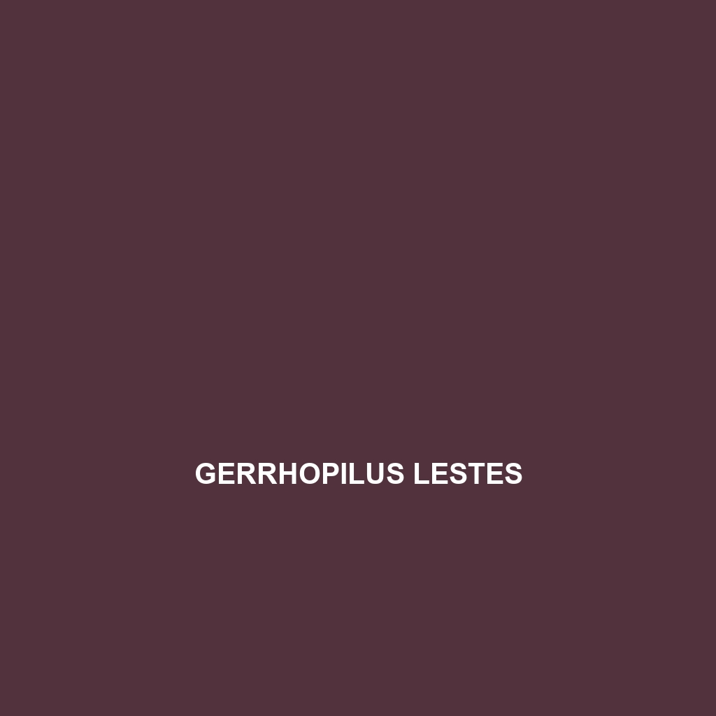 Gerrhopilus lestes