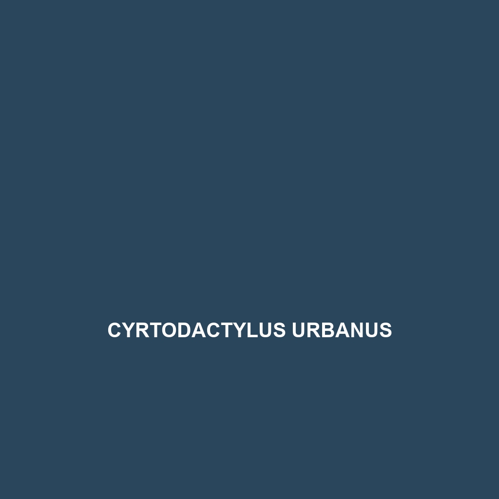 Cyrtodactylus urbanus