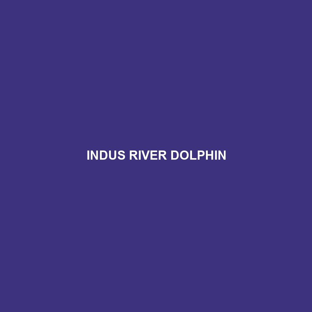 Indus River Dolphin