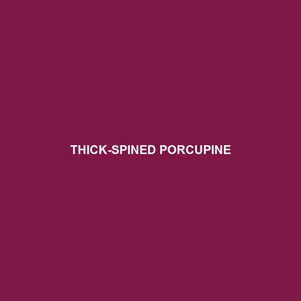 Thick-spined Porcupine