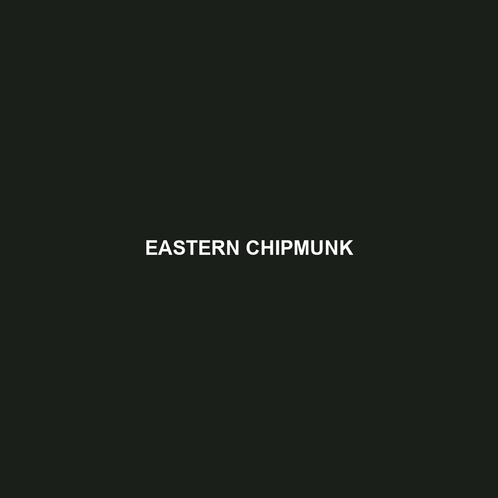 Eastern Chipmunk