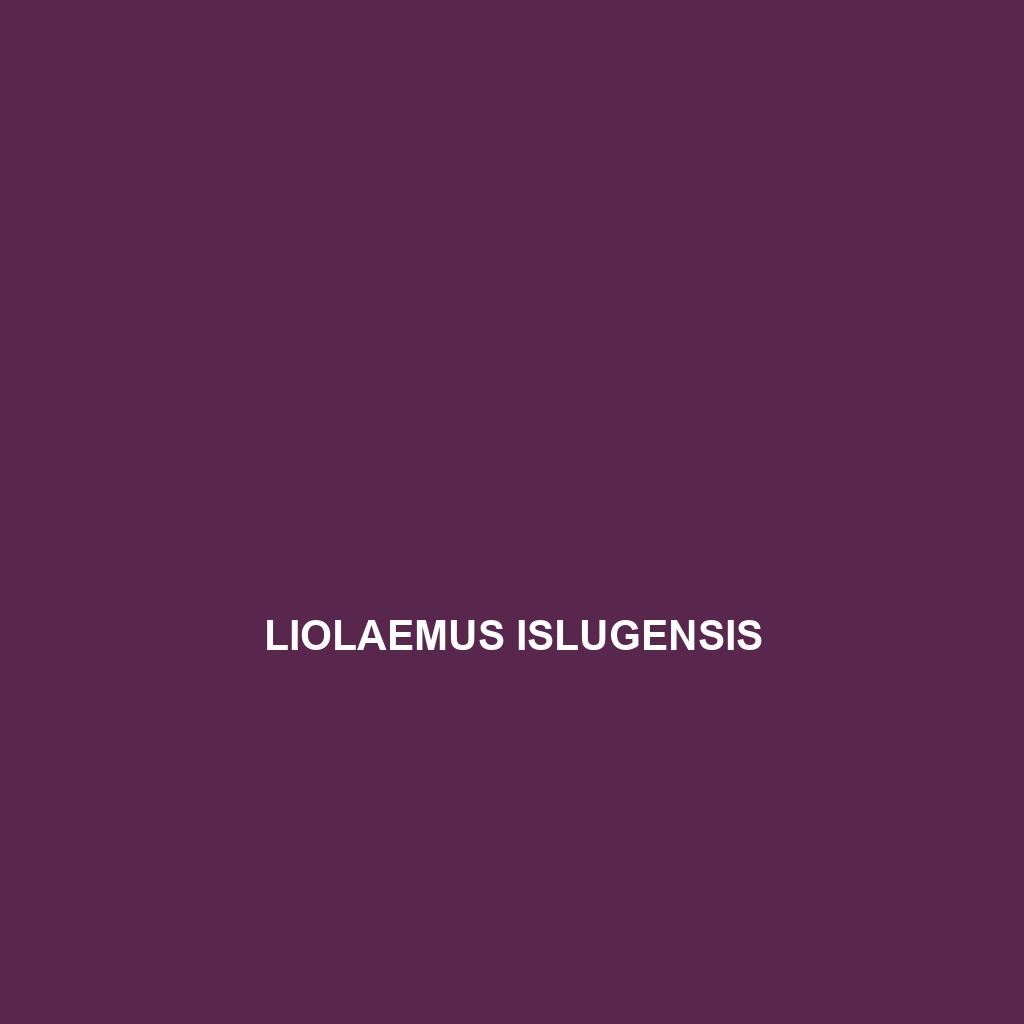 Liolaemus islugensis