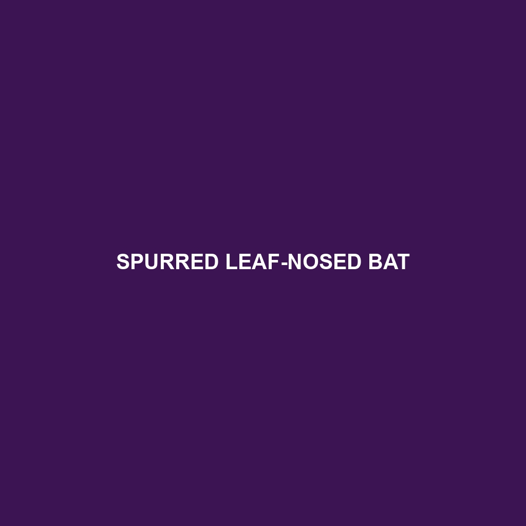 Spurred Leaf-nosed Bat