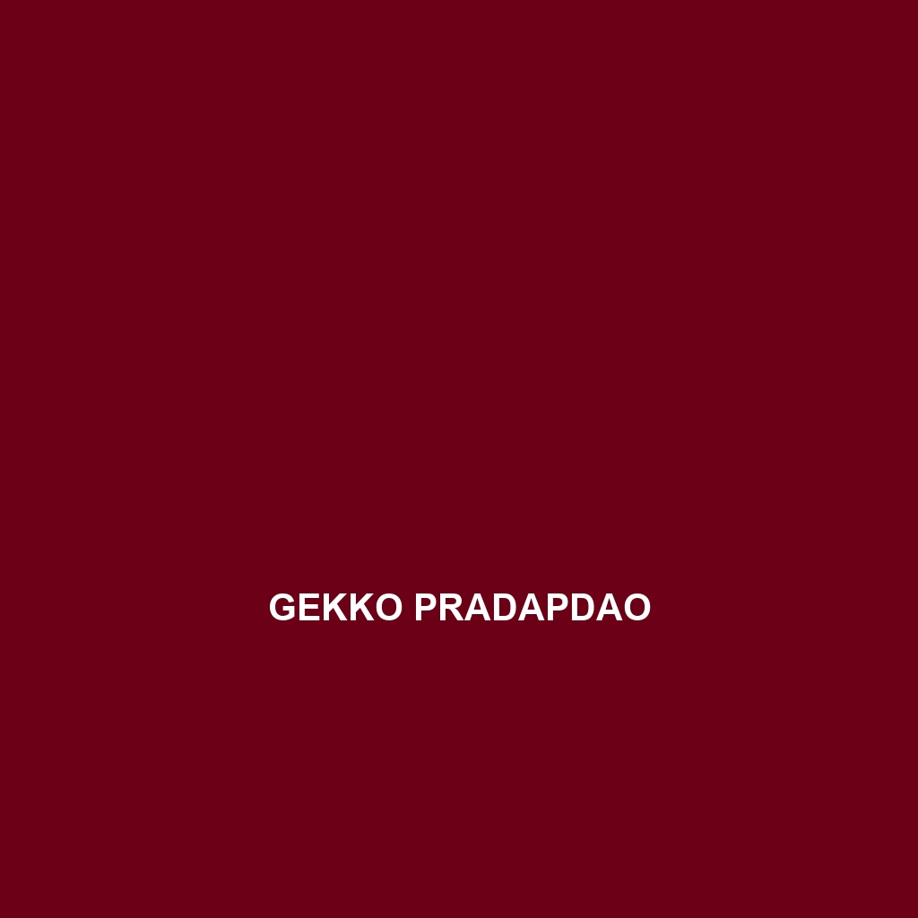 Gekko pradapdao