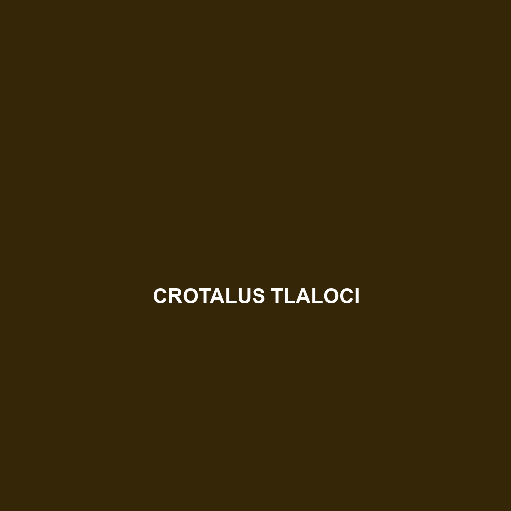 Crotalus tigris