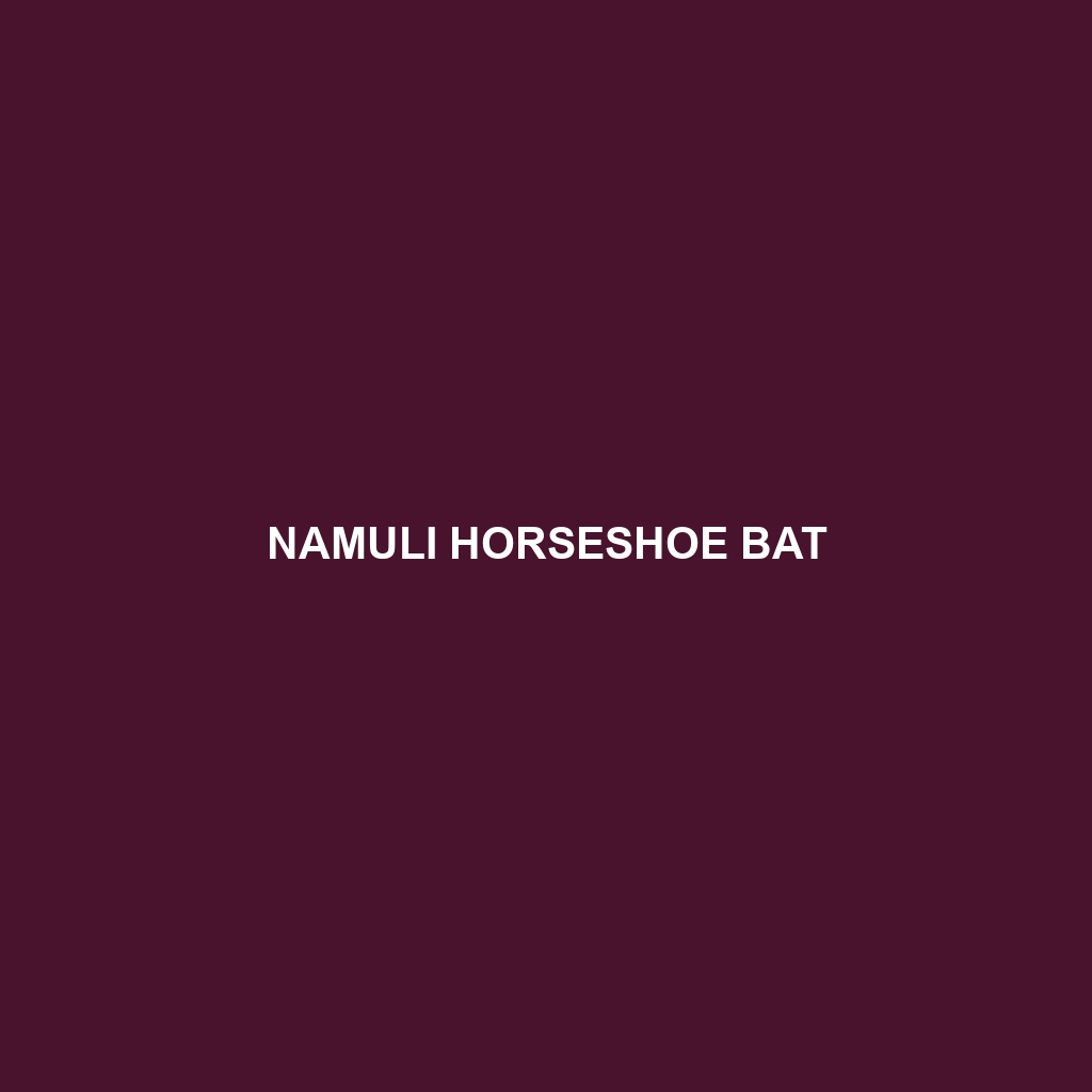 Namuli Horseshoe Bat