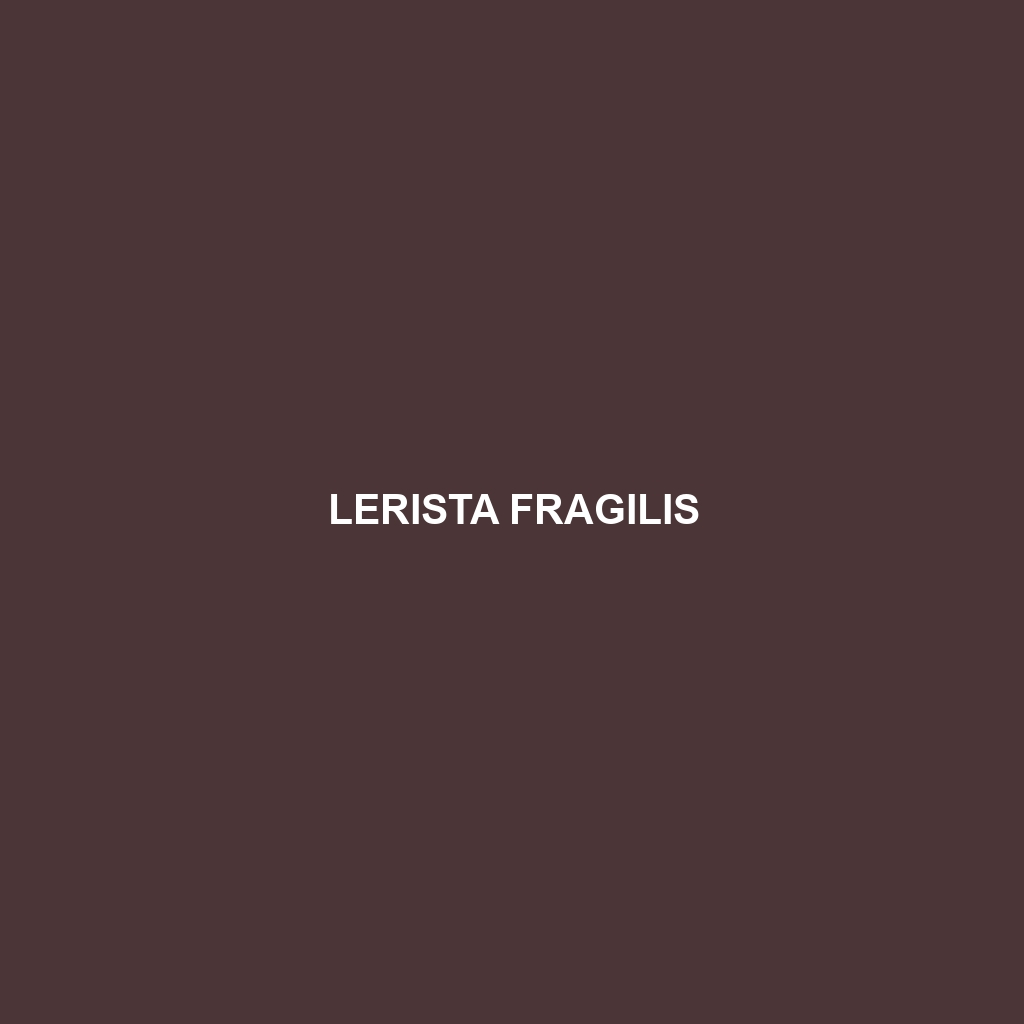 Lerista fragilis