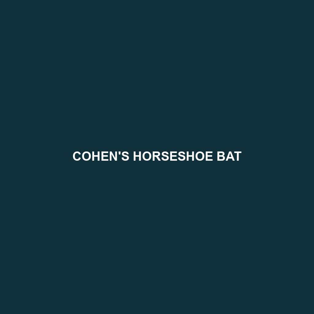 Cohen's Horseshoe Bat