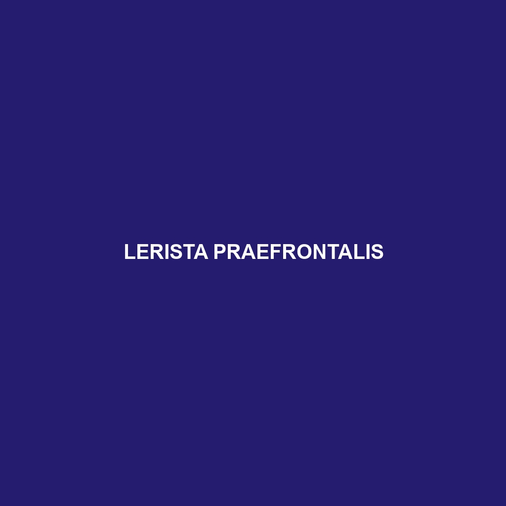 Lerista praefrontalis