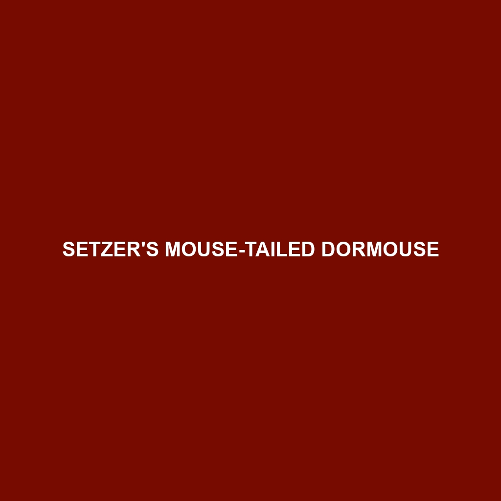 Setzer's Mouse-tailed Dormouse