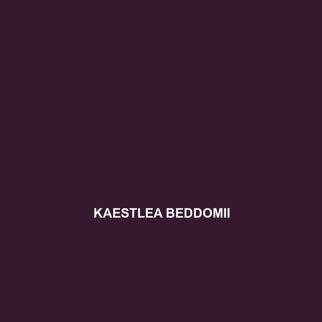 Kaestlea beddomii