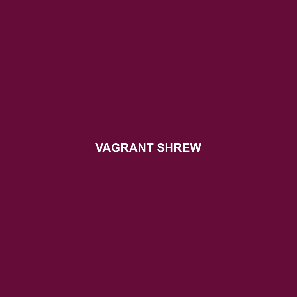 Vagrant Shrew