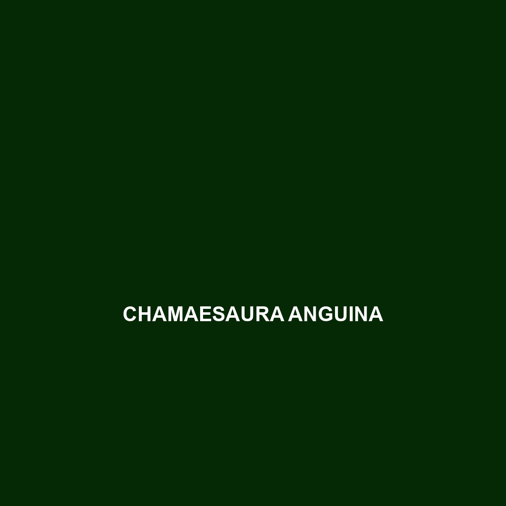 Chamaesaura aenea