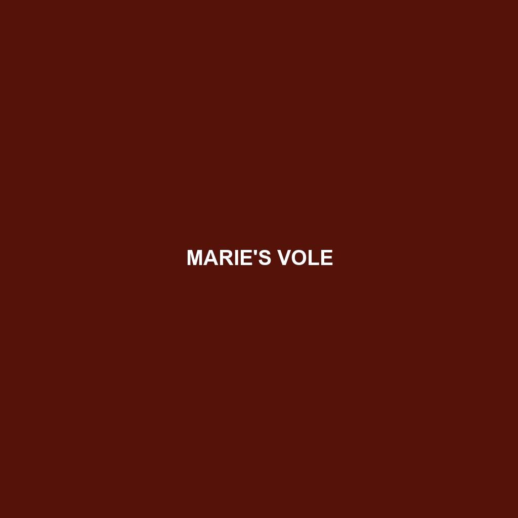 Marie's Vole