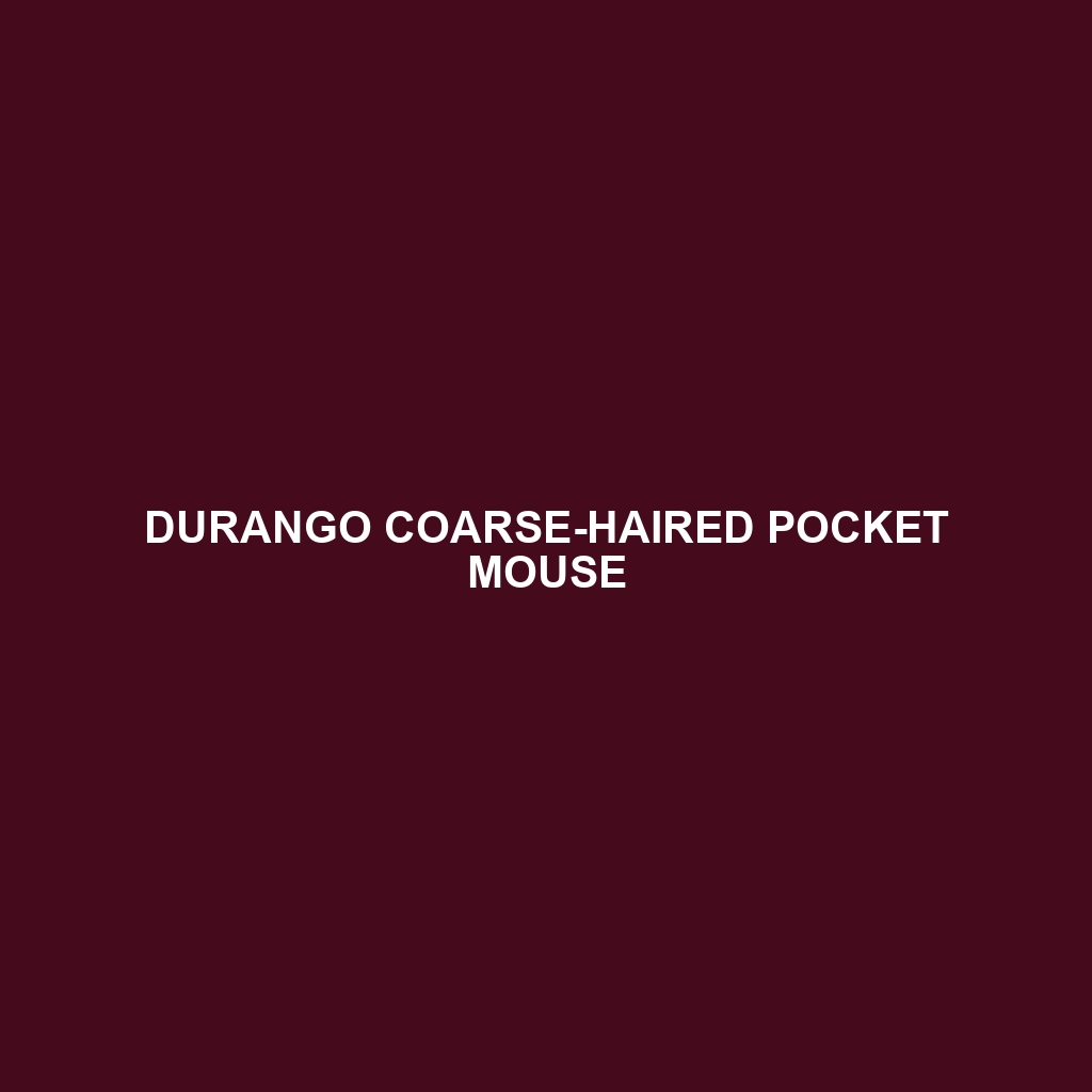 Durango Coarse-haired Pocket Mouse