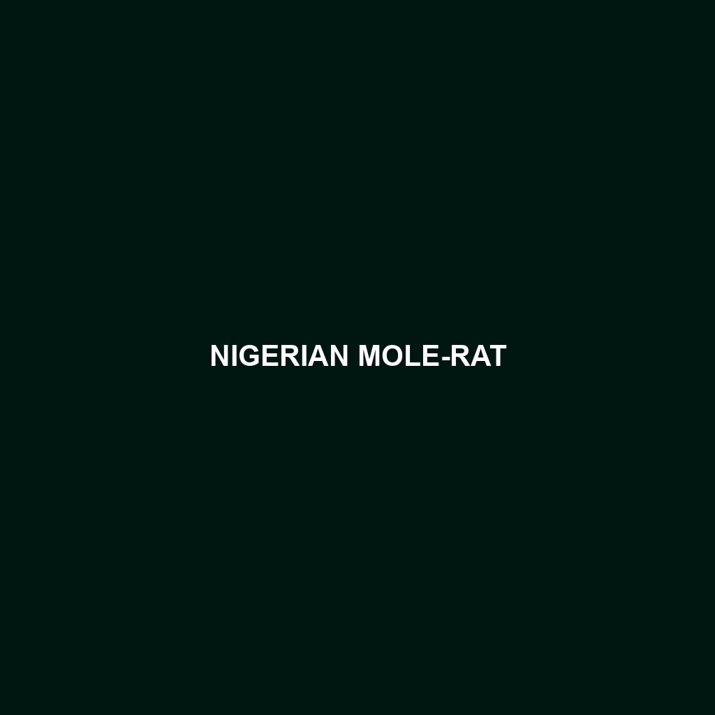 Nigerian Mole-rat