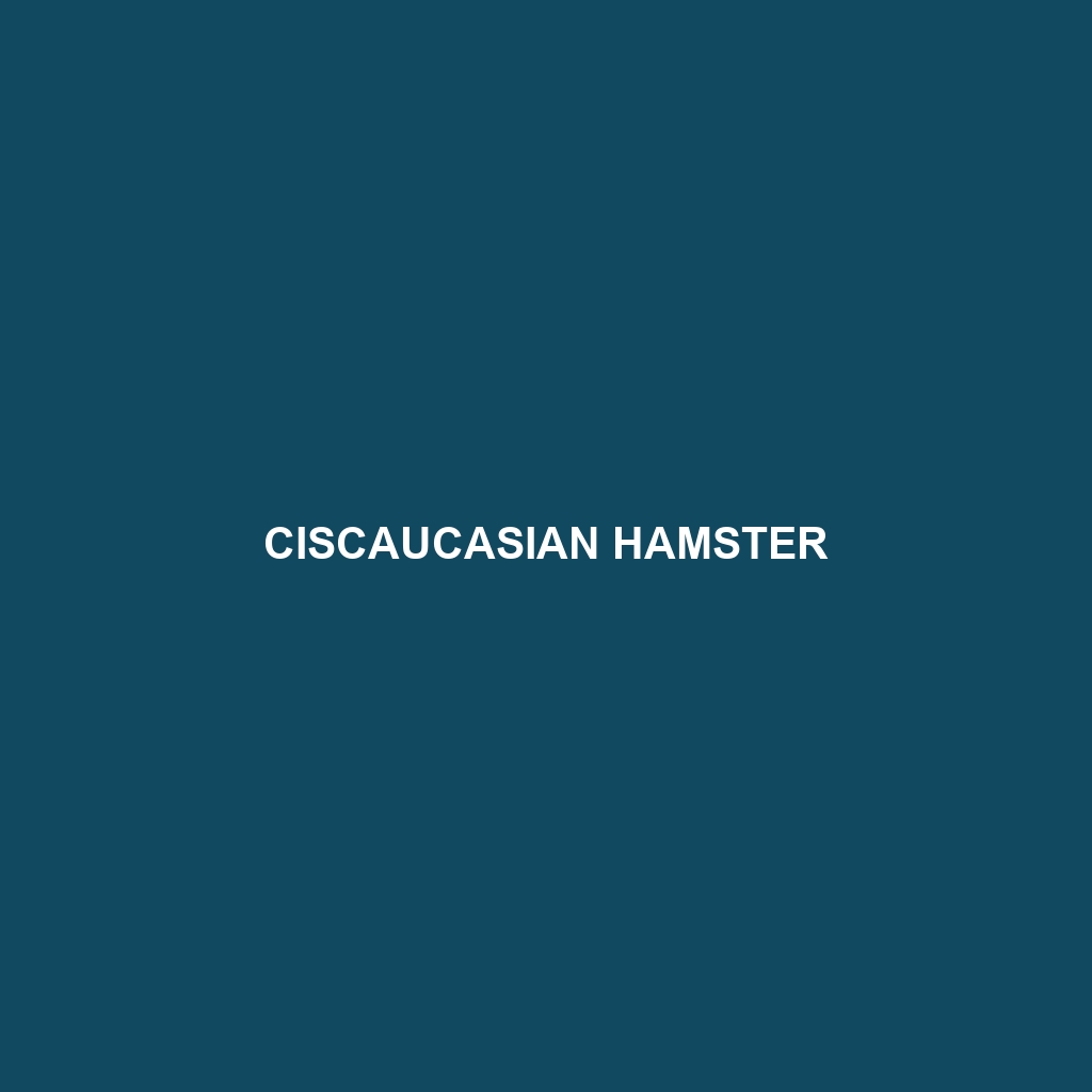 Ciscaucasian Hamster