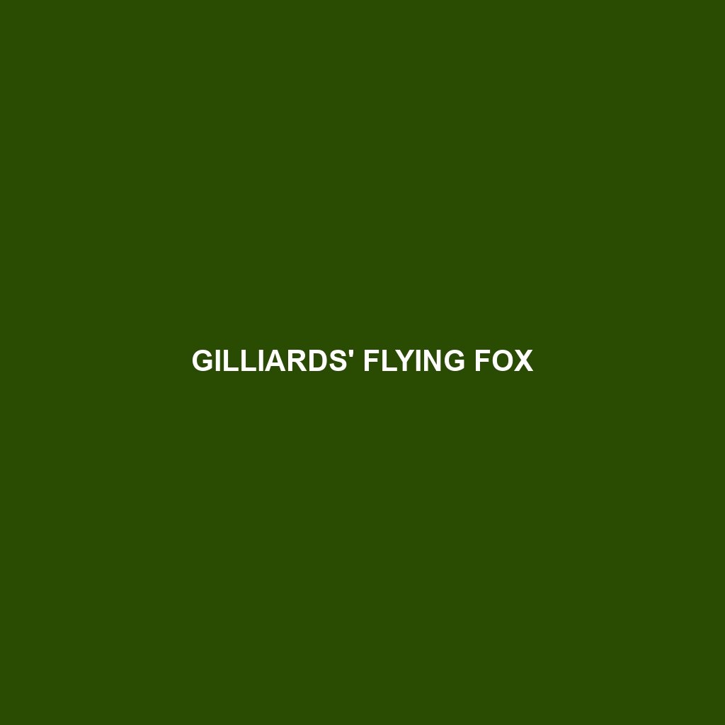 Gilliards' Flying Fox