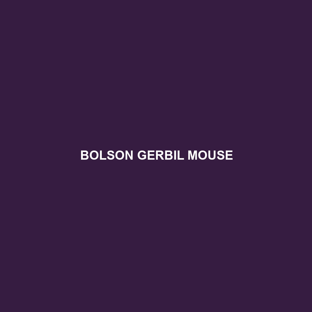 Bolson Gerbil Mouse