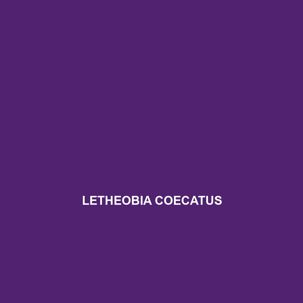 Letheobia caeca