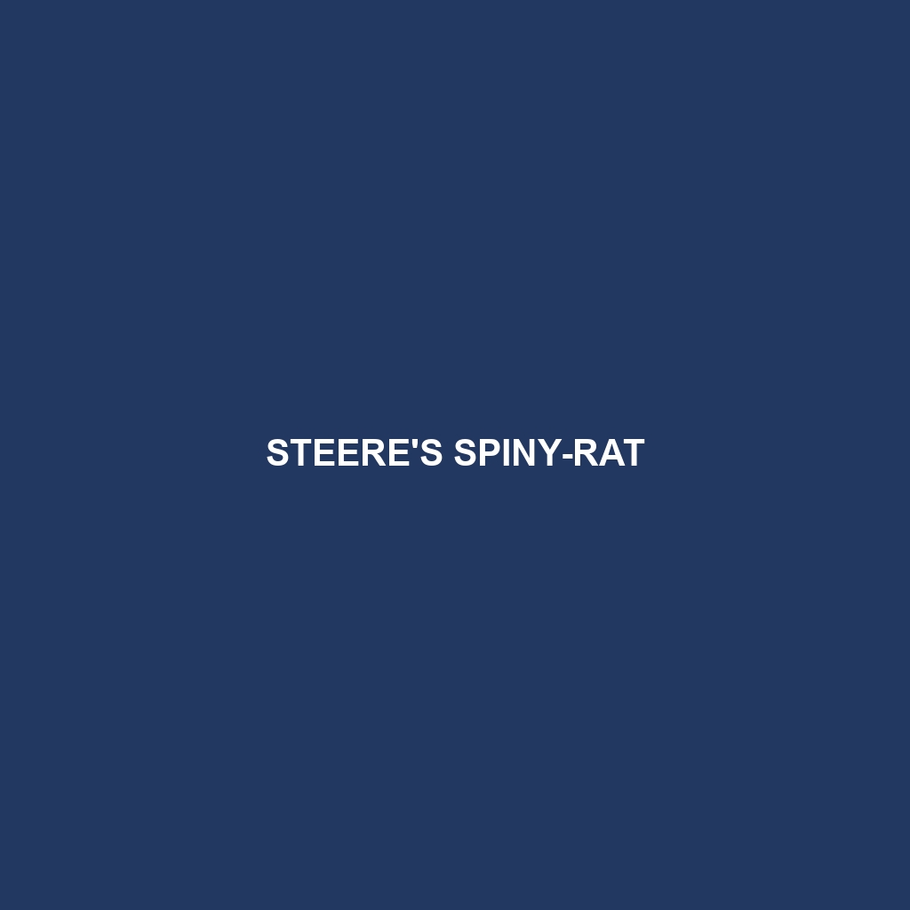 Steere's Spiny-rat