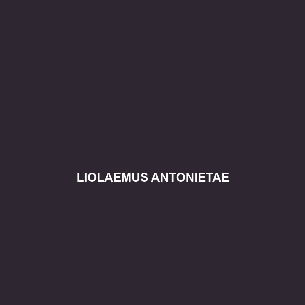 Liolaemus antonietae