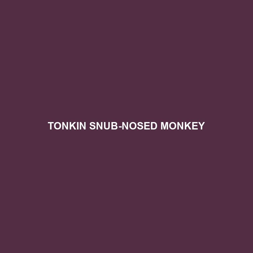 Tonkin Snub-nosed Monkey