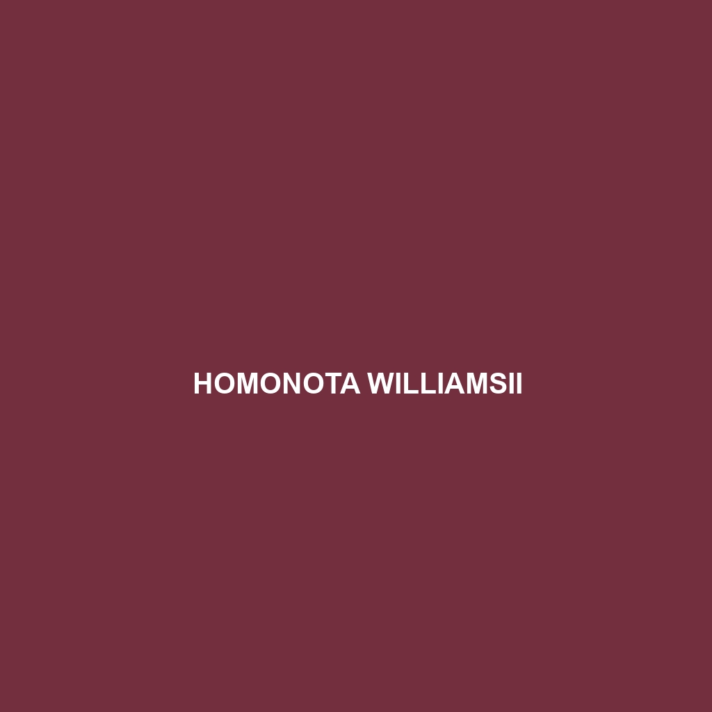 Homonota williamsii