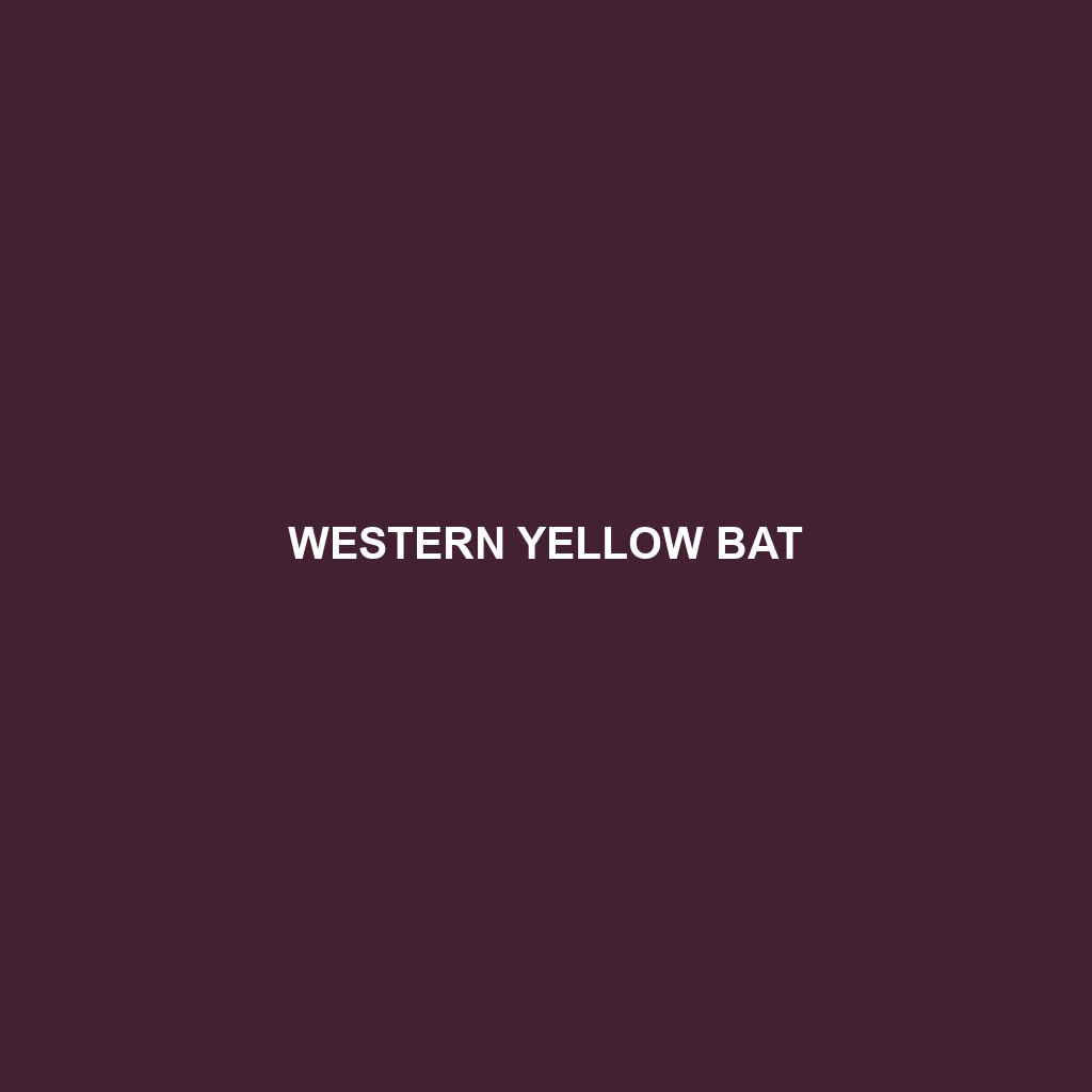 Western Yellow Bat