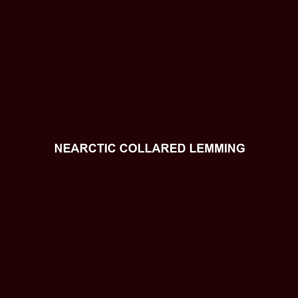 Nearctic Collared Lemming