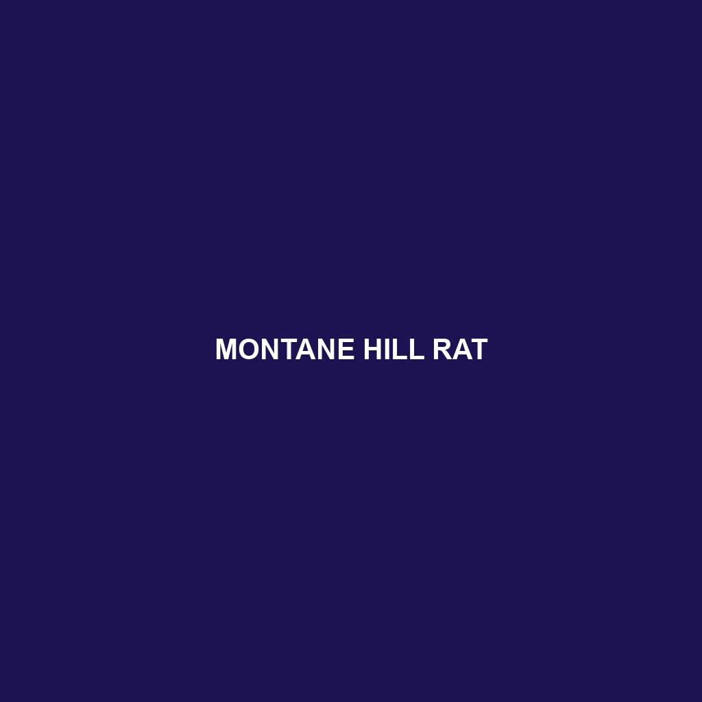 Montane Hill Rat