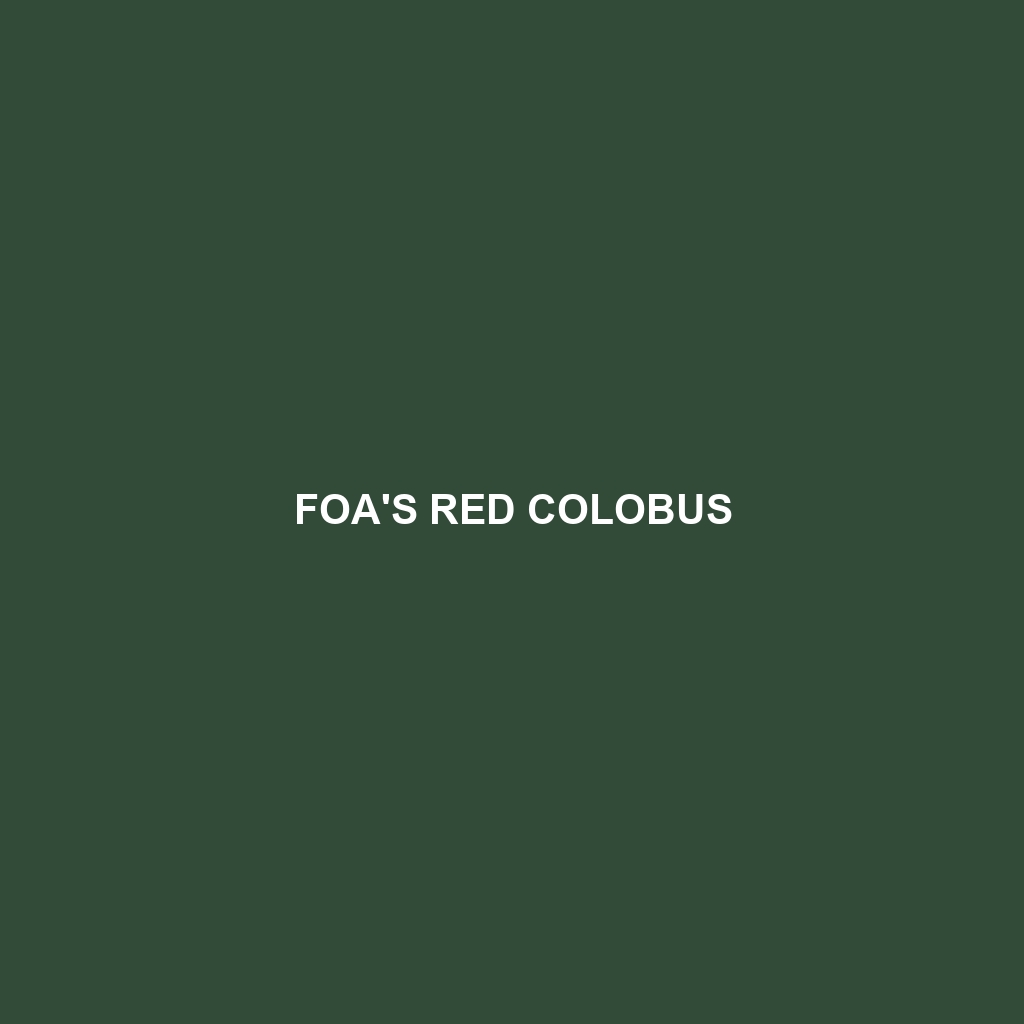 Foa's Red Colobus