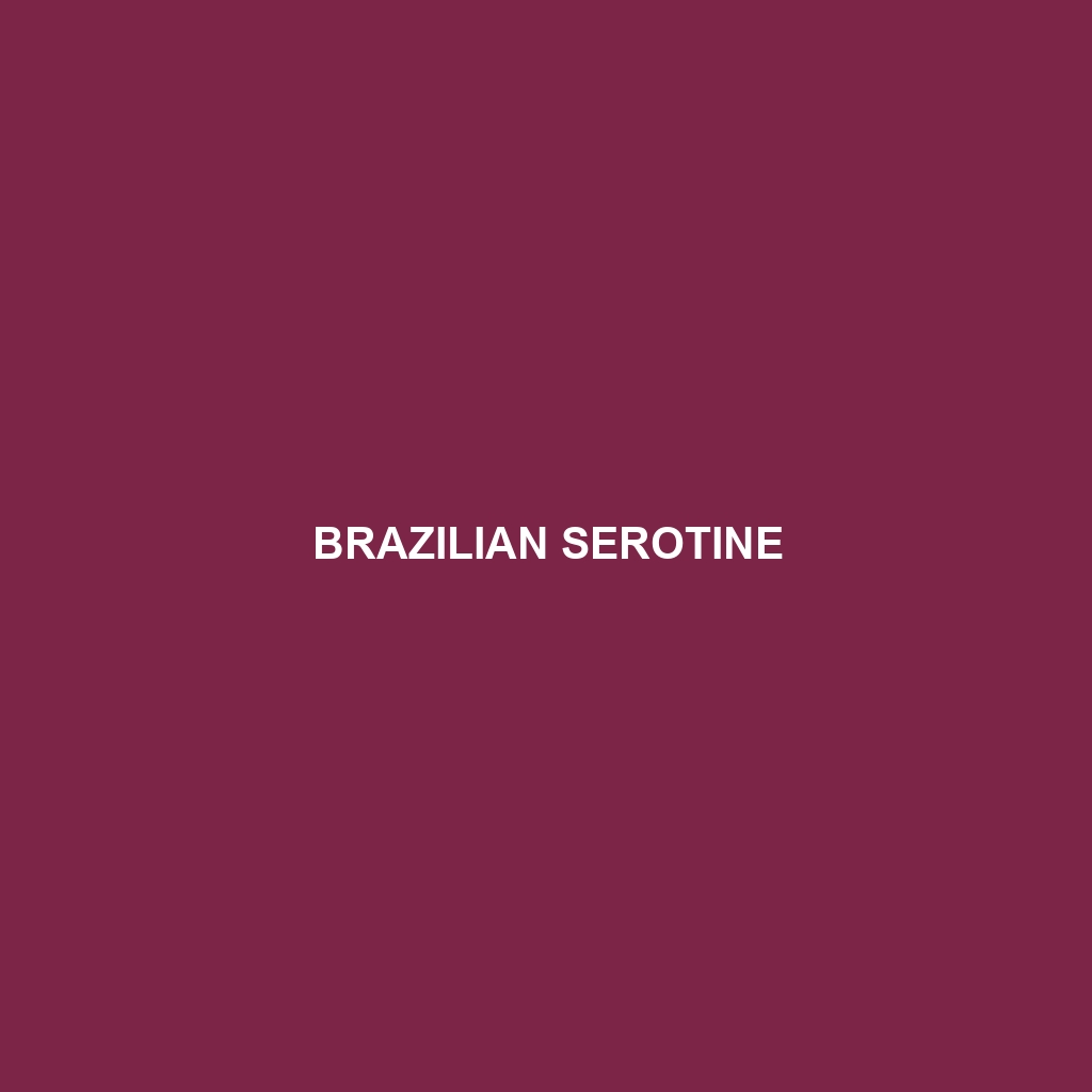 Brazilian Serotine