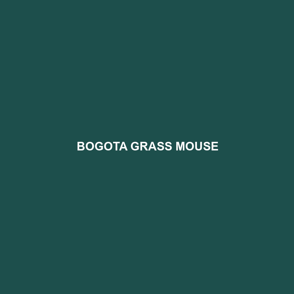 Bogota Grass Mouse