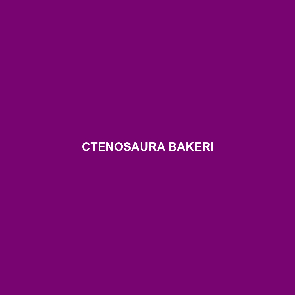 Ctenosaura bakeri