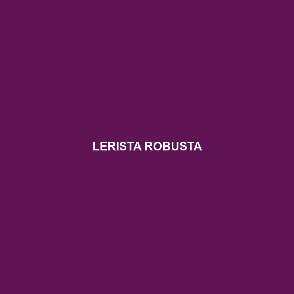 Lerista robusta