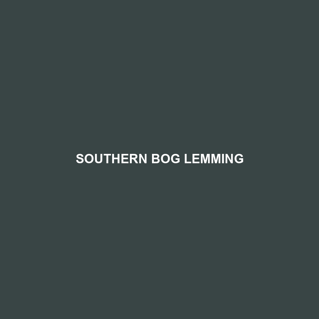 Southern Bog Lemming