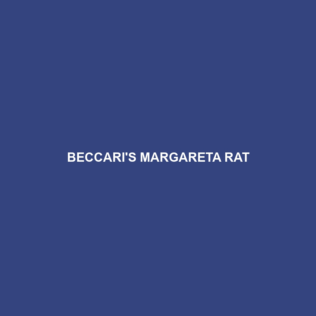 Beccari's Margareta Rat