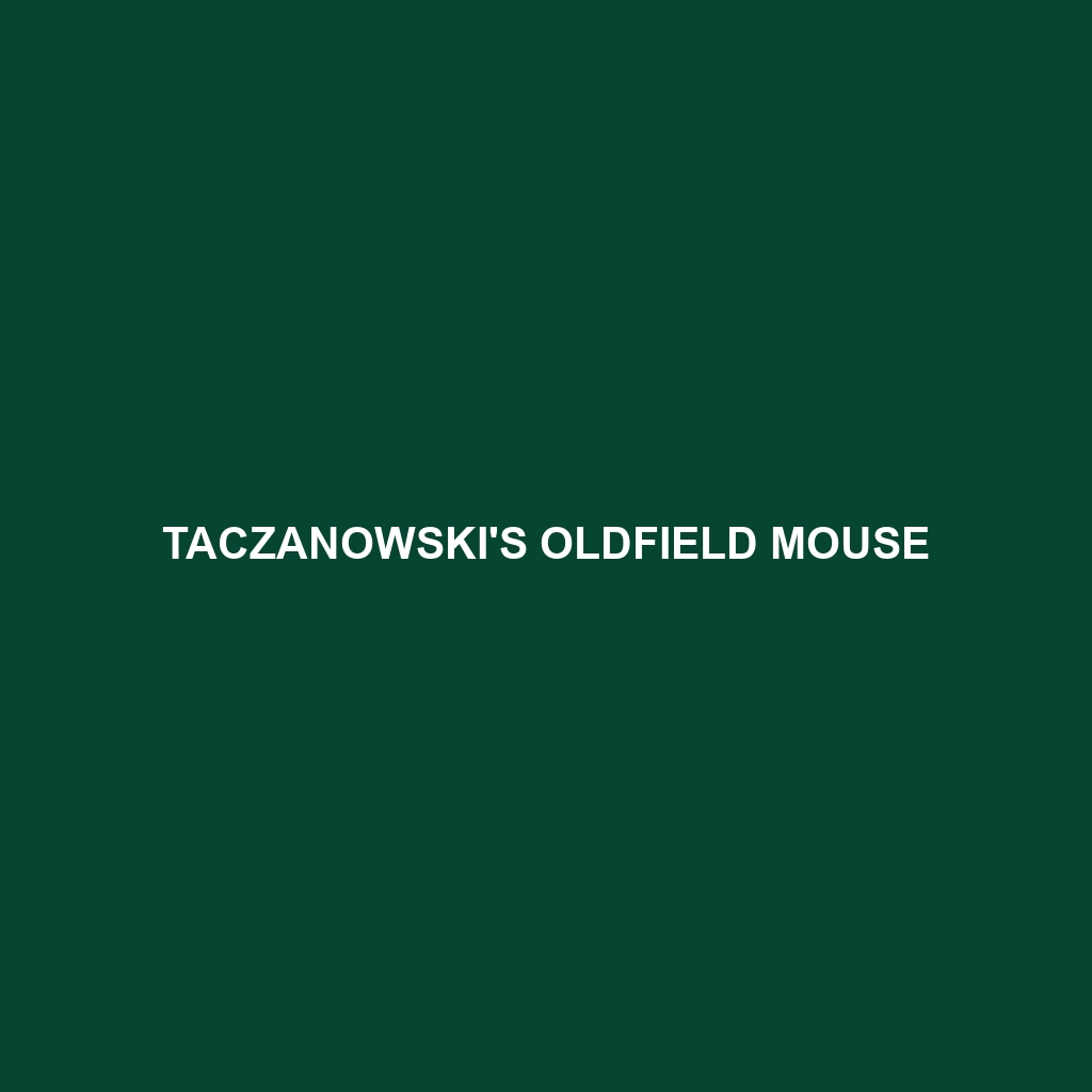 Taczanowski's Oldfield Mouse