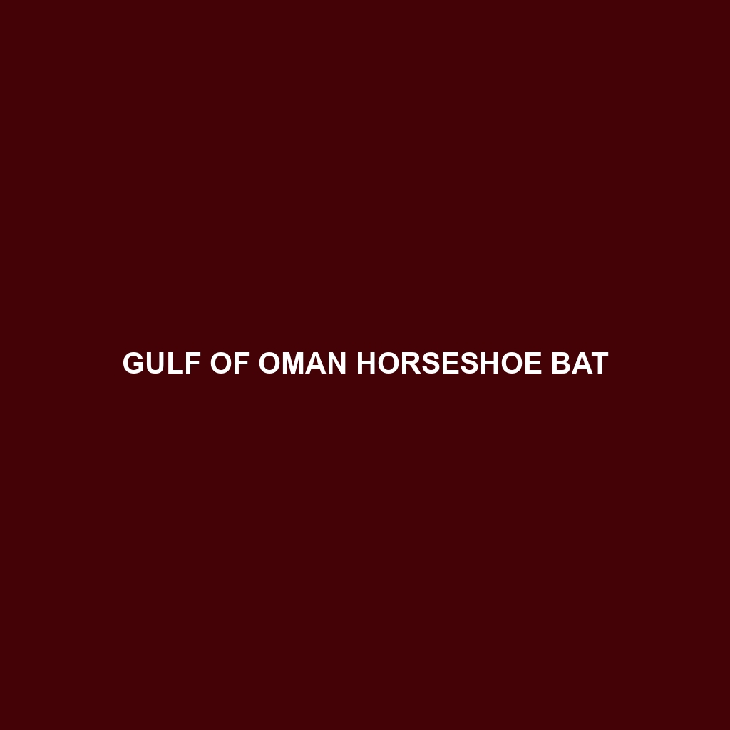 Gulf of Oman Horseshoe Bat