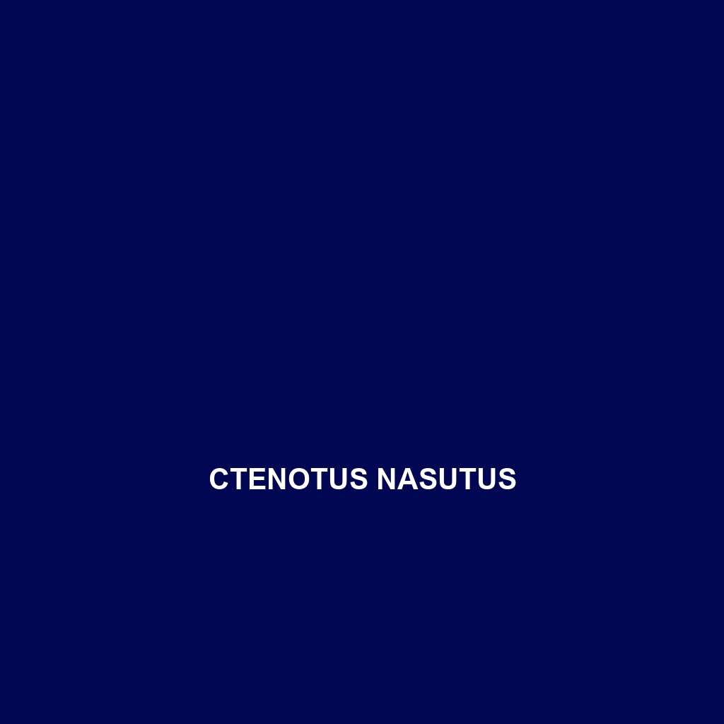 Ctenotus nasutus