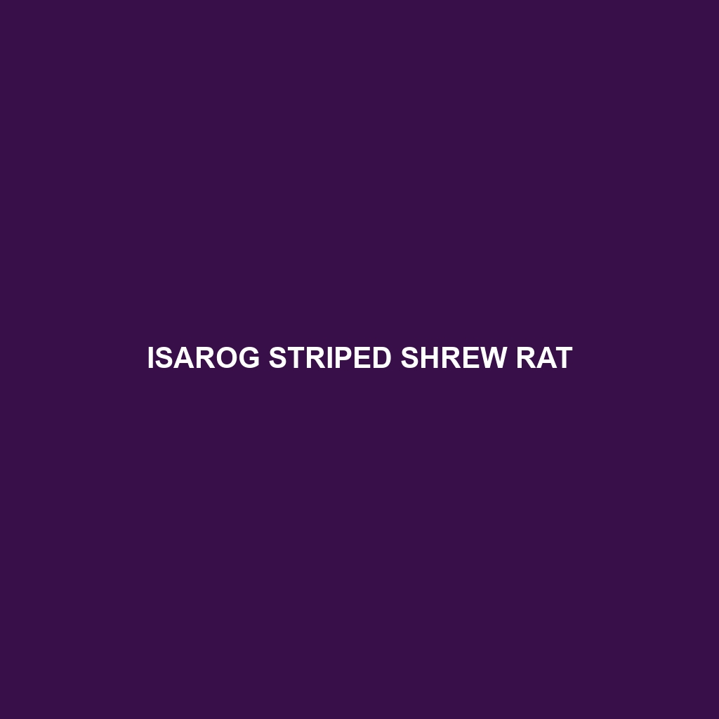 Isarog Striped Shrew Rat