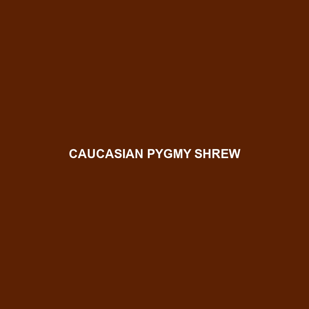 Caucasian Pygmy Shrew