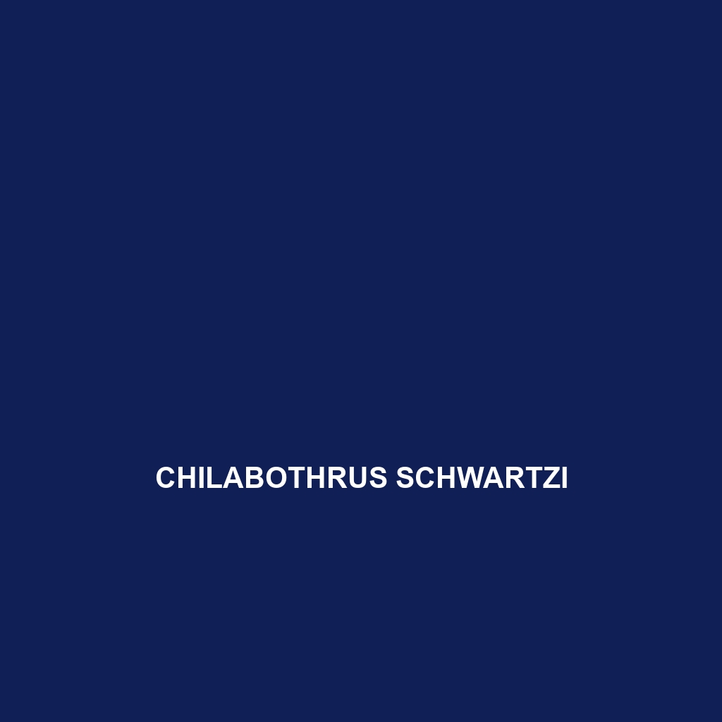 Chilabothrus schwartzi