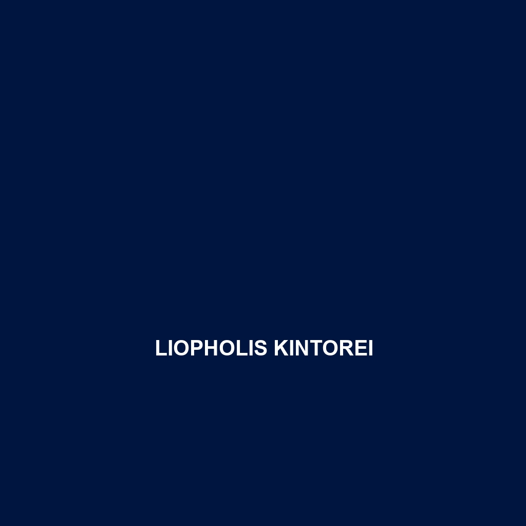 Liopholis kintorei