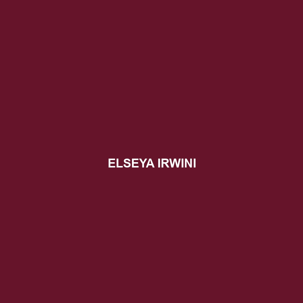 Elseya irwini