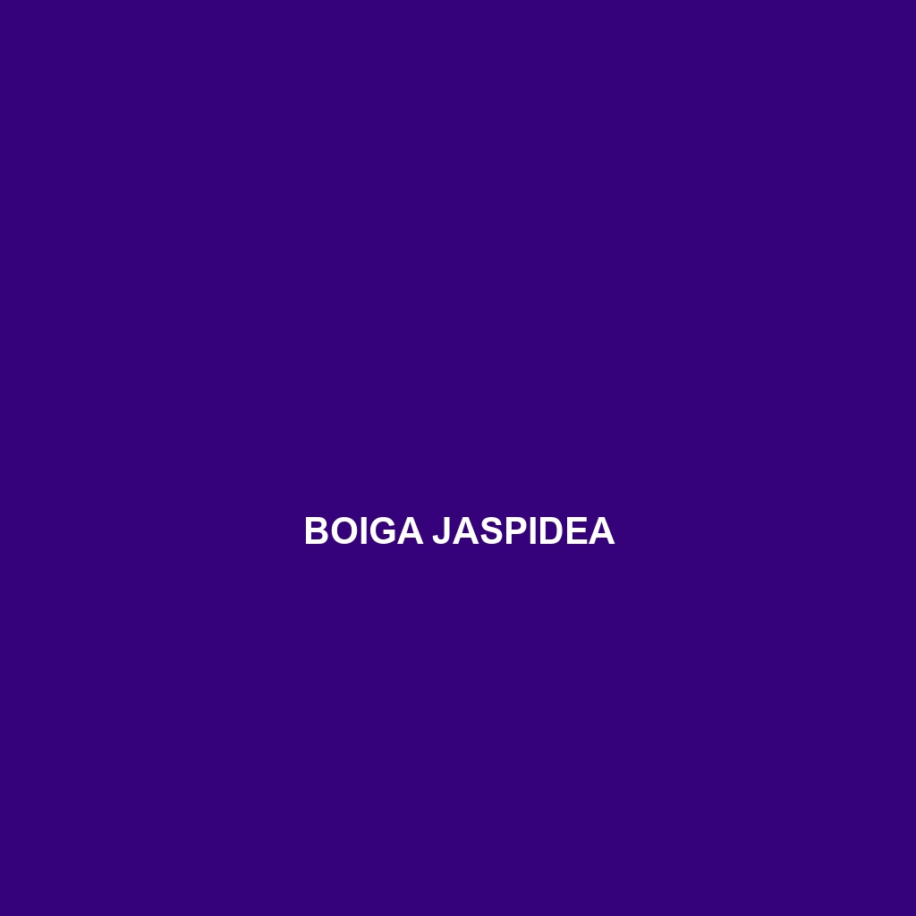 Boiga jaspidea