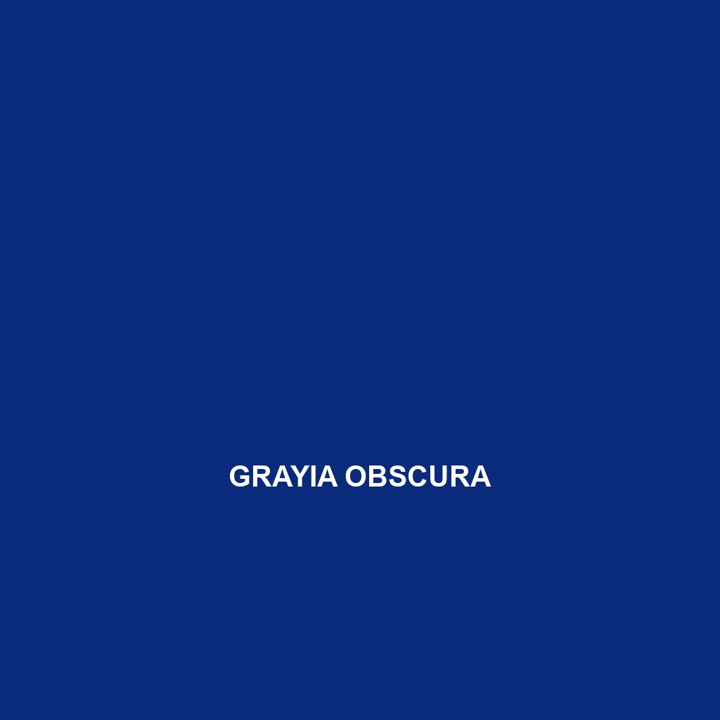 Grayia obscura