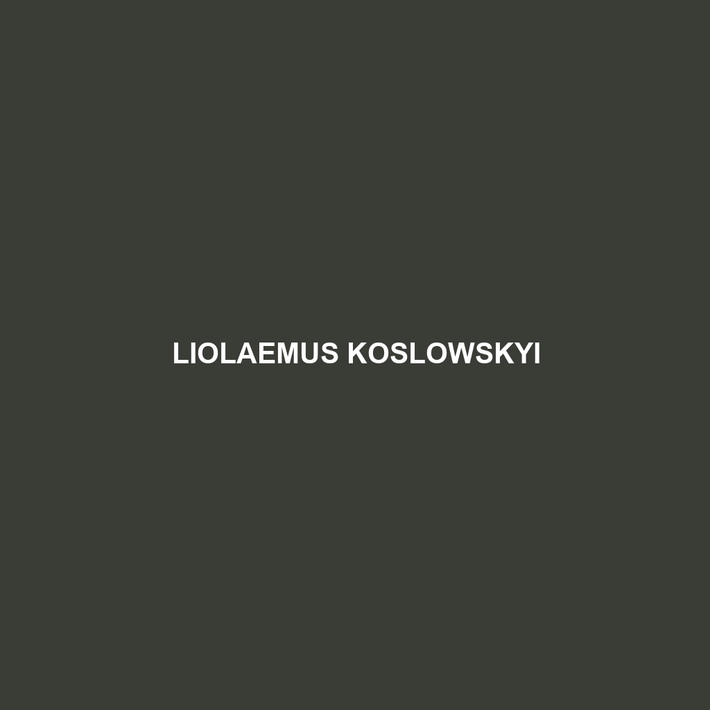 Liolaemus koslowskyi